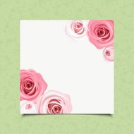 White card with pink roses Vector eps-10