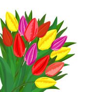 Colorful tulips bouquet N2