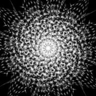 abstract black and white shape background N17