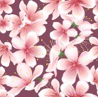 Seamless background of cherry blossom