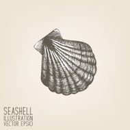 Vintage shell sketch on retro background