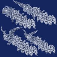 Japanese peacock N3