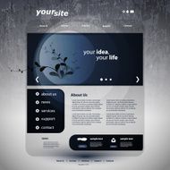 Website Template N161