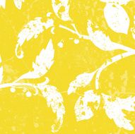 Lemon Grunge Vector