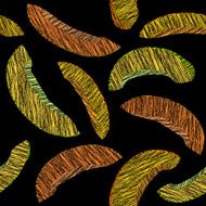 Endless melon texture seamless fruit background Abstract harvest backdrop N2