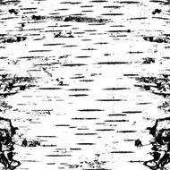bark of birch in the cracks texture N2