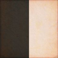 Grunge vector background N39
