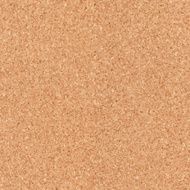 Seamless cork board texture