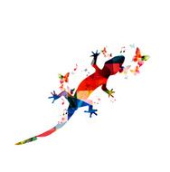 Colorful gecko design N2
