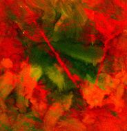 abstract background painting N268