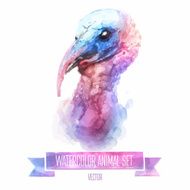 Vector set of watercolor illustrations Cute turkey