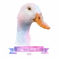 Vector set of watercolor illustrations Cute duck