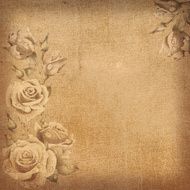 Old grunge paper background with roses N2