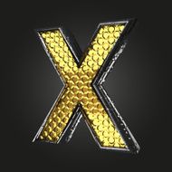 x vector golden and silver letter N2