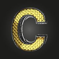 c vector golden and silver letter N2