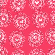 pink blooming gerberas N2