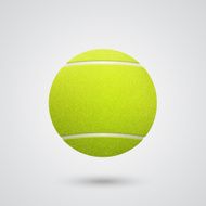 Tennis ball vector