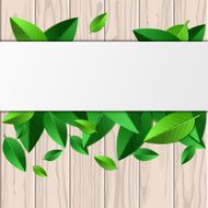 Wooden texture green leaves and white background Vector illustration