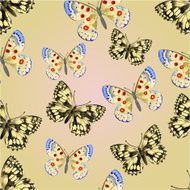 Seamless texture of butterflies Parnassius and Melanargia galathea vector