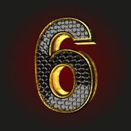 6 black letter with gold