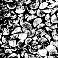 Firewood tree cut black and white grunge wood background texture