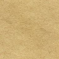 Vector Craft Recycled Paper Texture N2
