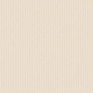 Cardboard texture N2
