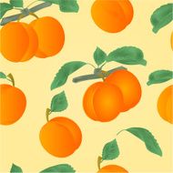 Seamless texture apricots with leaves vector