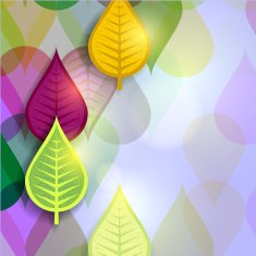 Abstract background with autumn leaves N3