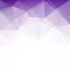 Abstract geometric polygonal background N18