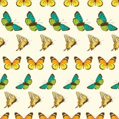 Vector Butterflies Stripes Seamless Pattern N2