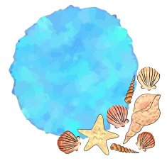 Sea Shells N6