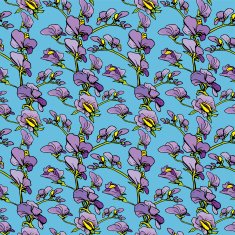 Seamless pattern with flowers - sweet pea handdrawn background N2