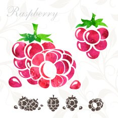 Raspberry icons set N2