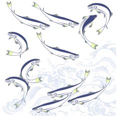Elegant Fish N11