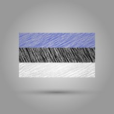 Flag of Estonia Scratched texture N2