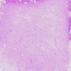 grunge purple background N3