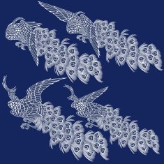 Japanese peacock N3