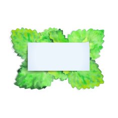 Frame from watercolor leaf and paper for text N2