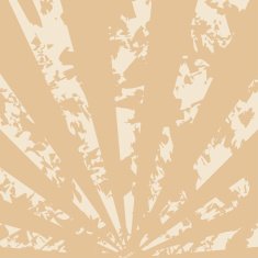 vintage background with rays - vector N2