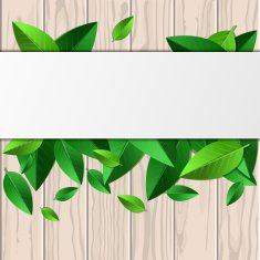 Wooden texture green leaves and white background Vector illustration