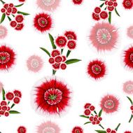 Pattern of red and white flowers