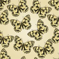 Seamless texture Butterfly Melanargia galathea vector