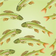 Seamless texture Grayling salmon-predatory fish vector