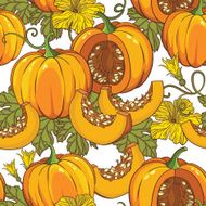 Vector botanical pattern with isolated pumpkins flowers and leaves N6