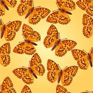 Seamless texture butterfly Argynnis aglaja vector