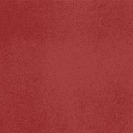 Vector canvas red color