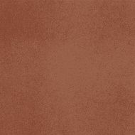 Vector canvas Brown color