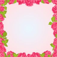 Seamless frame of pink roses vector