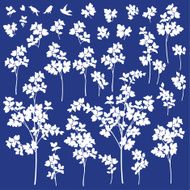Plant illustration N4